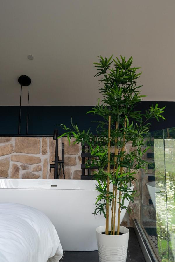 Plas Coch Luxury Barn Llanddeiniolen Zewnętrze zdjęcie